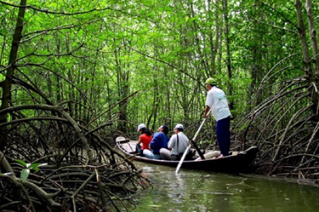 Tour Du Lịch Đà Nẵng - Sài Gòn - Cà Mau - Bạc Liêu - Sóc Trăng - Cần Thơ 5 Ngày
